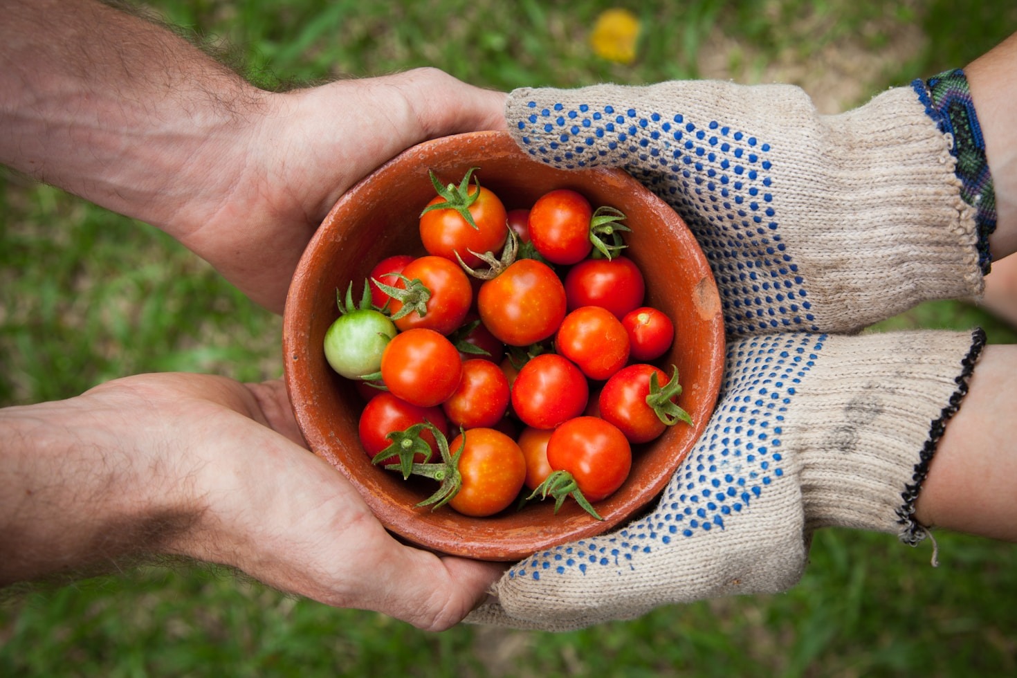 Why Invest in Sri Lanka’s Agriculture Sector?