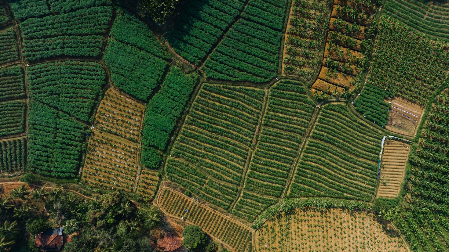 The Future of Farming: Sustainable and Profitable