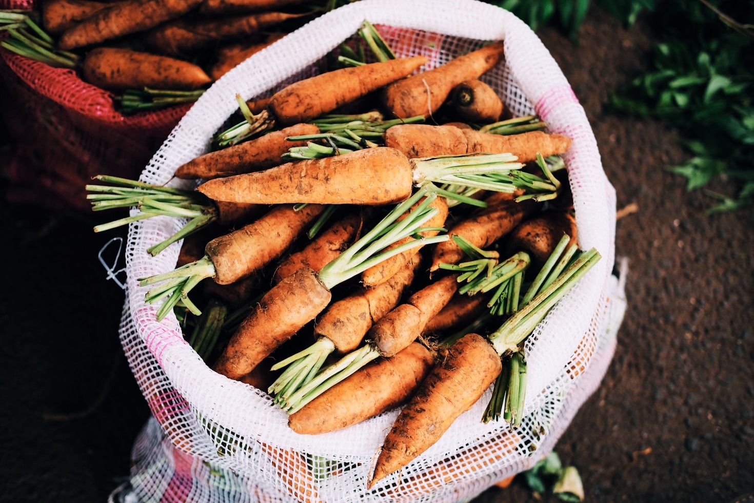 How The Green Farm is Redefining Agriculture Investments