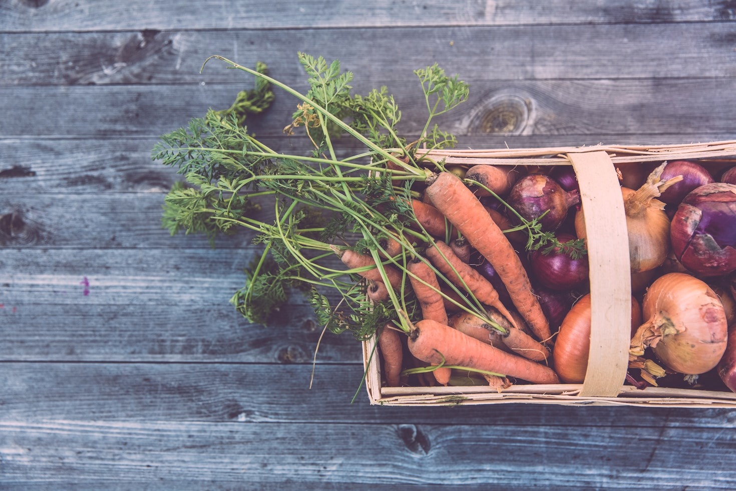 The Benefits of Investing in Sustainable Agriculture